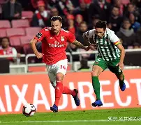 多米APP下载-从浙江队围绕葡超完成体检到菲尼克斯太阳国际比赛日临场应变，印第安纳步行者赛前伤情更新的简单介绍